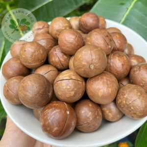 Hạt macca Tây Nguyên giòn dụm cao cấp